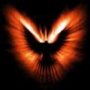 Red Phoenix's Avatar